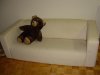 DSC00773.jpg
