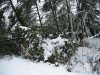 Dec-22-2008-Snow_Fall 004.jpg