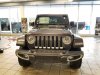 wrangler gray4.jpg