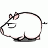 103.GIF