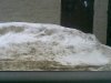 20090211(001).jpg