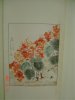 DSC04746.jpg