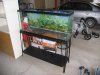 FishTank.JPG