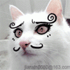2.gif