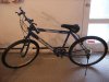 DSCF1118.jpg