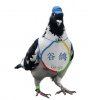 20090401191848.jpg