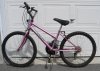 2009_04_23 037.jpg