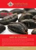 Sea Cucumber Flyer (3).jpg