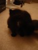Picture 153.jpg