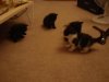 Picture 167.jpg