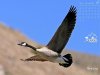b3f6cea2289c09b5cbefd0a5.jpg