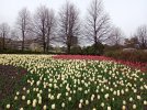 IMG_20210507_103405.jpg