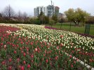 IMG_20210507_103426.jpg