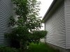 DSCN4163.jpg