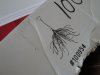 DSC01315.jpg
