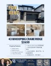 Beige Brown Modern Minimal Real Estate Flyer .jpg