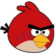 angry bird