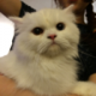 OLDMUG