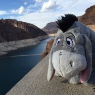 Minten