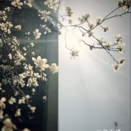 lxxwlm