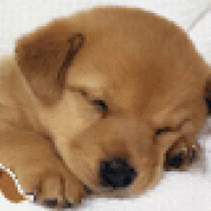 idog