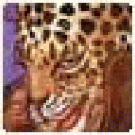 YCMichael