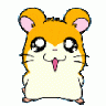 Hamtaro