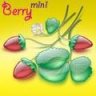 MiniBERRY