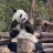 zhangrui69698